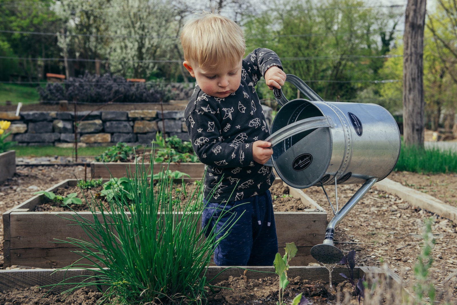 5 Ecofriendly Ways To Repurpose Second Life Products In Your Garden